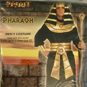Pharaoh King Spirit Halloween Adult  Costume like new condition in package